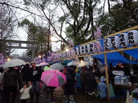 DSC01487