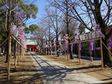 葛飾八幡宮2017三十三周年式年大祭
