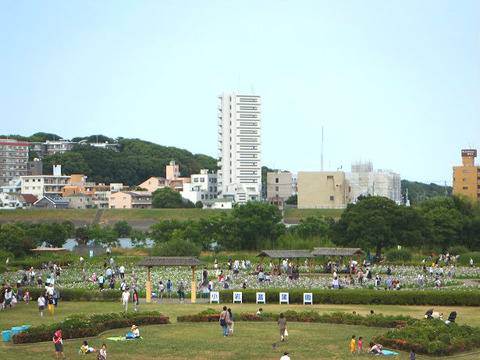 image2_全景