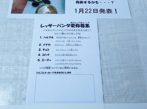 image5_投票用紙