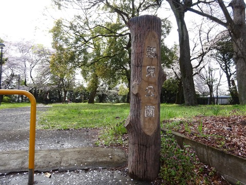 里見公園分園 (2)
