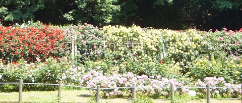 image9_トンネル