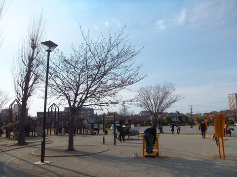 大洲防災公園広場