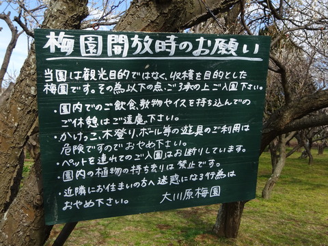 大川原梅園の注意事項