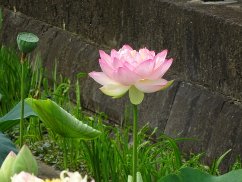 DSC04116