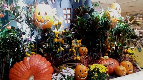ハロウィン2016/コルトン