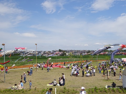DSC02550