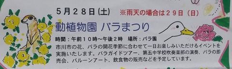 動植物園バラまつり2016