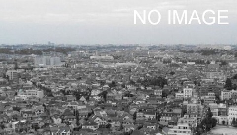 NOIMAGE画像