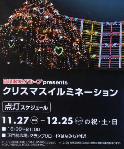 イルミネーション2016中山競馬場
