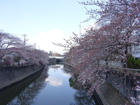 DSC01884