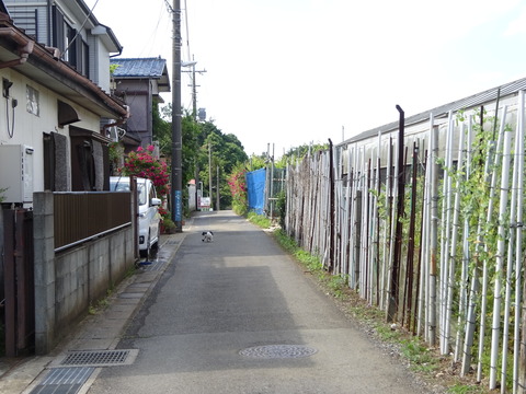 DSC03198