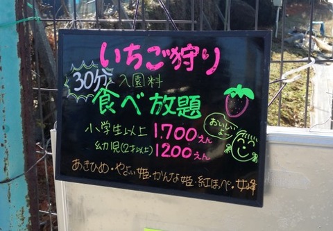 市川市大野町古川園料金表