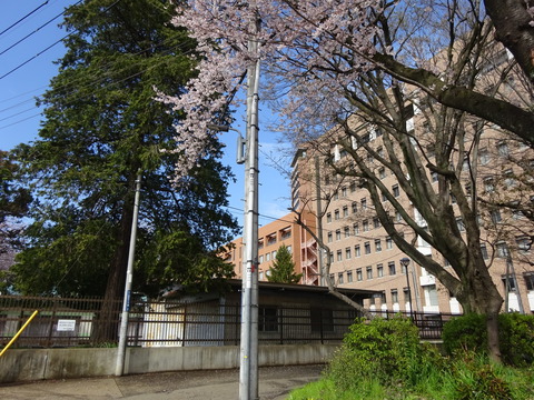 筑波大学付属聴覚特別支援学校