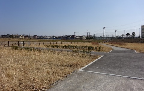 国分川調整池緑地の園路