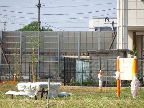 DSC03337