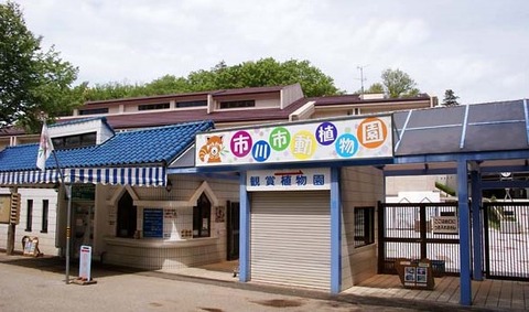 市川市動植物園の正面玄関