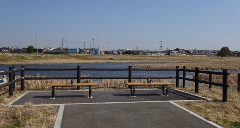 国分川調整池緑地のベンチ