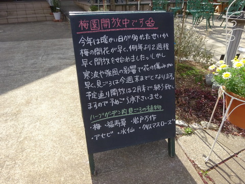 2017年大川原梅園開放