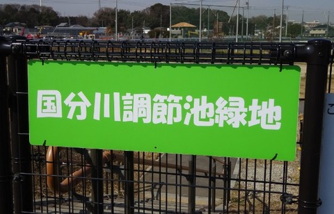国分川調整池緑地