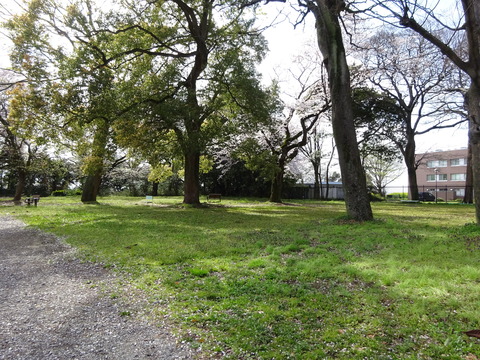 里見公園分園4