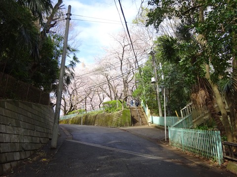 DSC01924