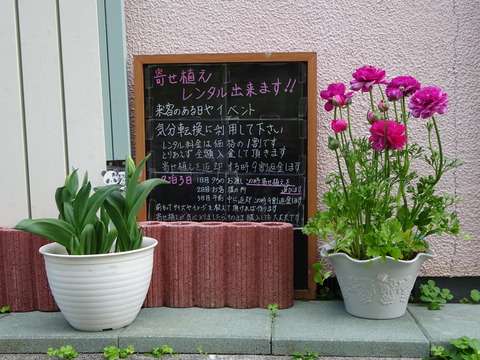 市川南の春夏秋冬寄せ植えレンタル