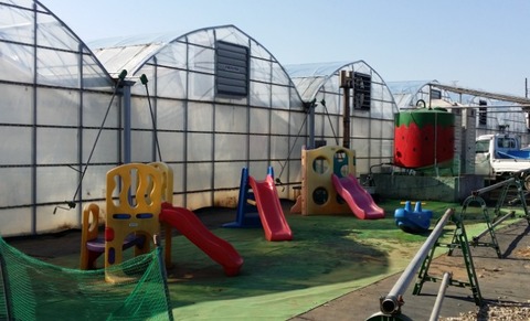 市川市大野町古川園のいちご狩り遊具