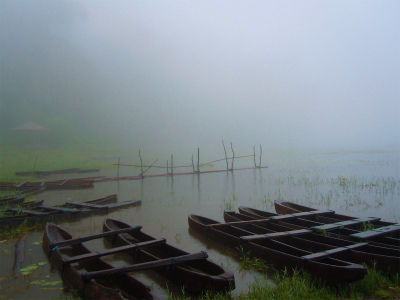 DSCN2031