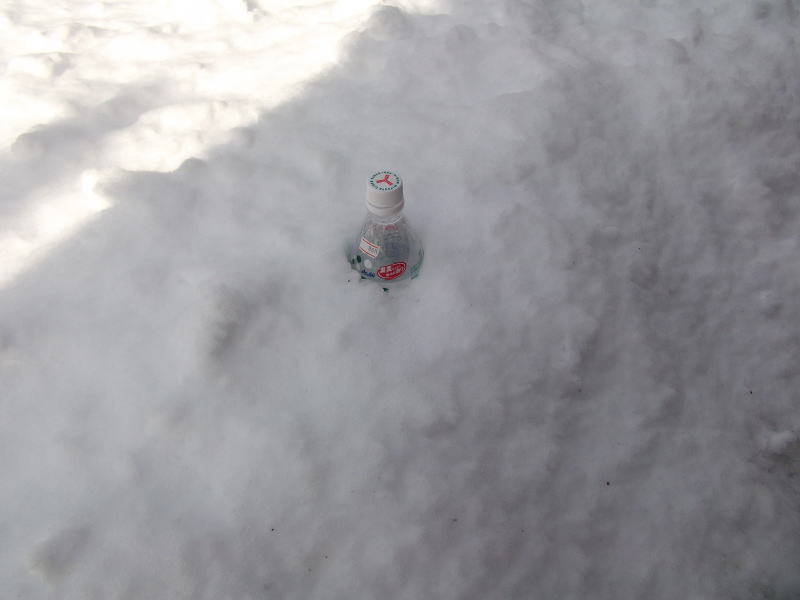 雪1