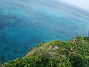 DSCF0806
