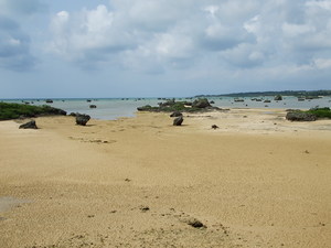 DSCF0793