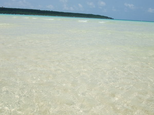 DSCF0789