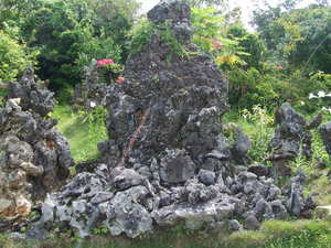 DSCF0771