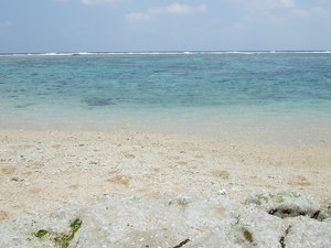DSCF0754