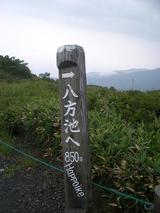 sirube