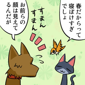 taro076