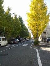 26b873f9.jpg