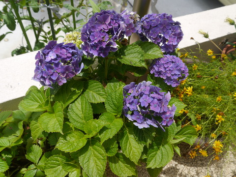 P1020670