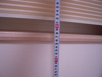 DSCN5213