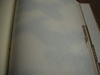 DSCN5018