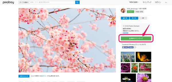 pixabay 桜