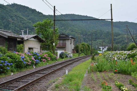 DSC_9187