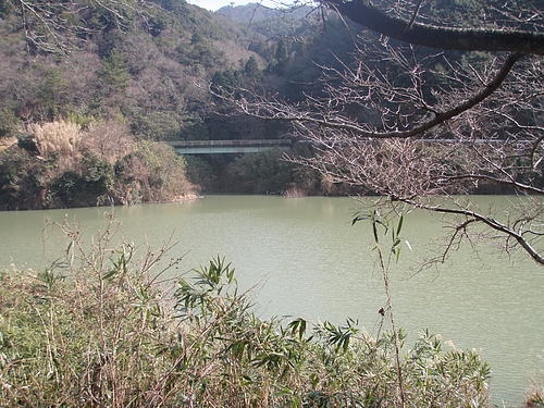 堀河ダム(抹茶色)