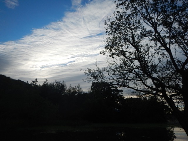 DSCN0572