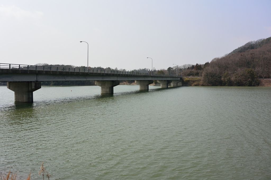 DSC_0164.jpg