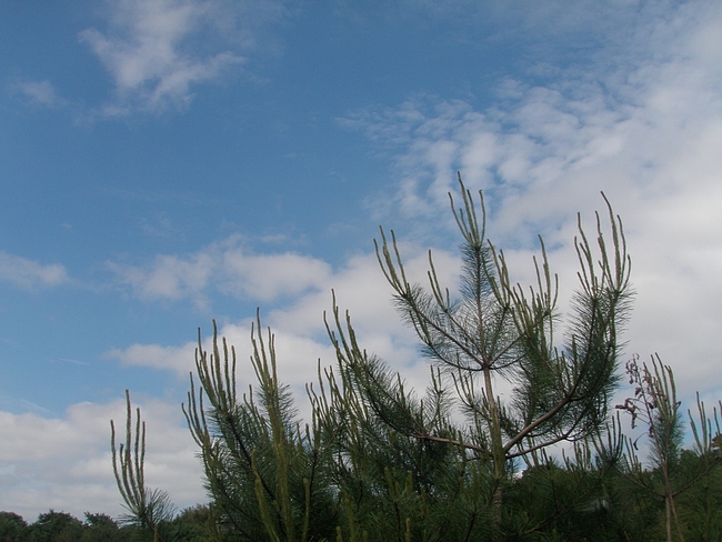 三田の空