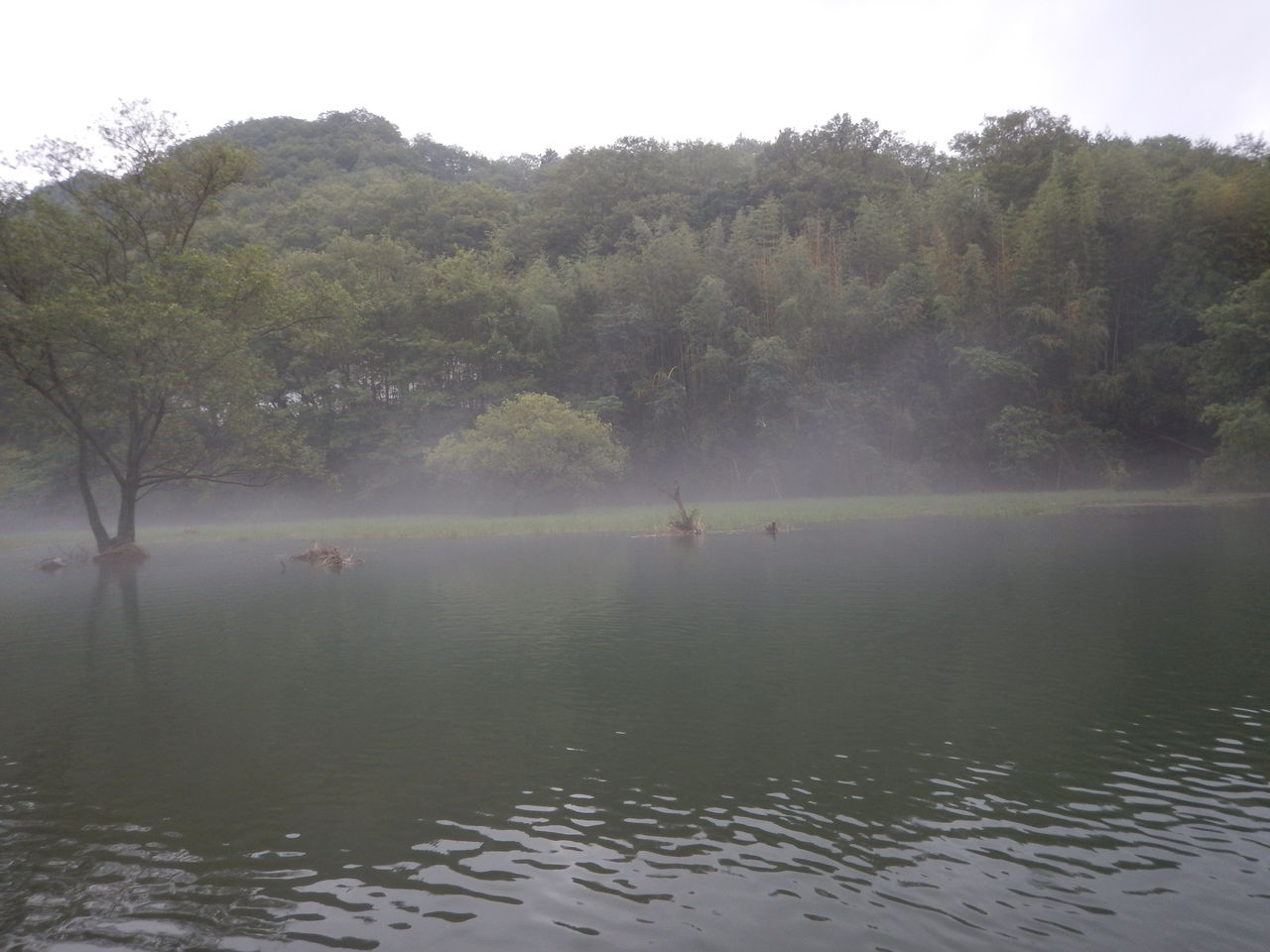 DSCN0068.jpg