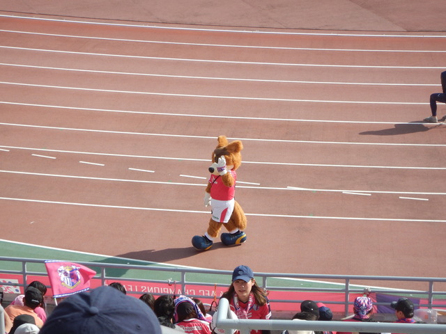 DSCN0918