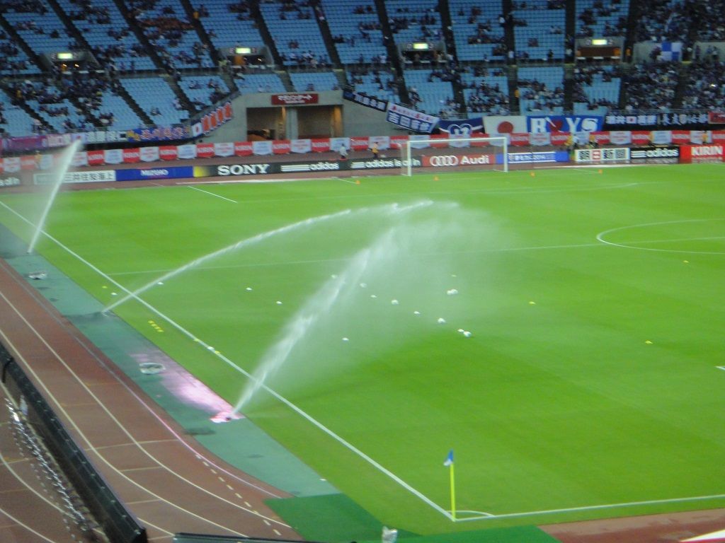 DSC02816.jpg